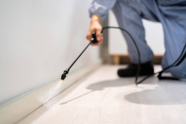Licensed Pest Control service in Boyne City, MI - Show Me Pest Control